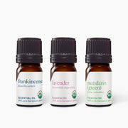 Cold & Flu Season Bundle - DIY Bundles - Aromatics International