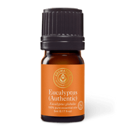 Eucalyptus Globulus Essential Oil - 5ml - Essential Oil Singles - Aromatics International