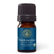 Frankincense Essential Oil - 5ml - Essential Oil Singles - Aromatics International