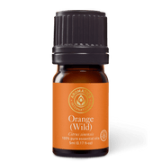 Orange Wild Essential Oil - 5ml - Essential Oil Singles - Aromatics International