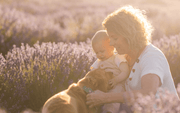 Shop Essential Oils - Aromatics International
