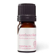 Xanthoxylum Essential Oil - 5ml - Essential Oil Singles - Aromatics International