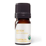 Yarrow Essential Oil - 5ml - Essential Oil Singles - Aromatics International